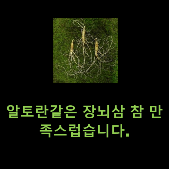 알토란같은 장뇌삼 참 만족스럽습니다.