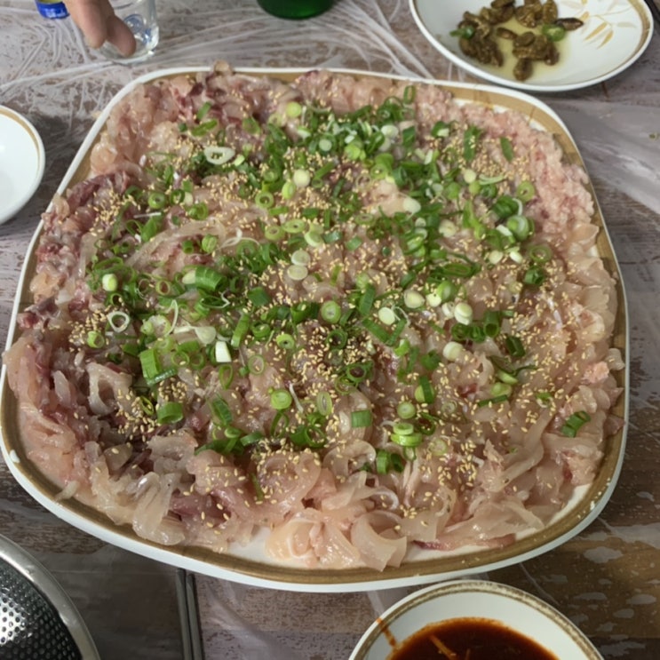  창원 소답동 향어회, 초장이 찐으로 맛있는 한일회센타