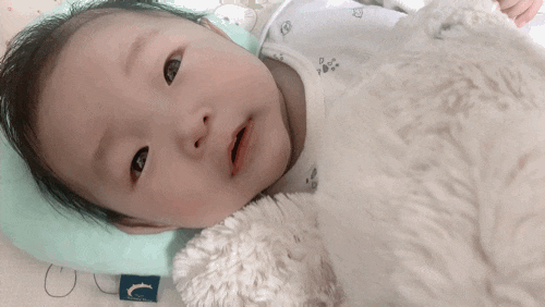  4개월 아기 비비앤빕 바디필로우로 사두증 셀프교정하기