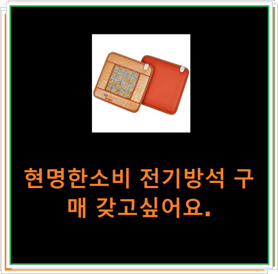 현명한소비 전기방석 구매 갖고싶어요. 현명한소비 전기방석 구매 갖고싶어요.