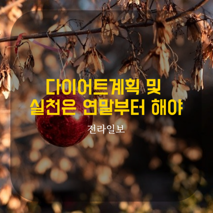  다이어트의 계획 및 실천은 연말부터 해야