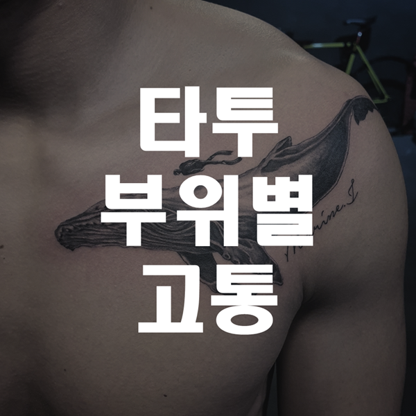  타투 부위별 고통 어디가 제일 아플까!?