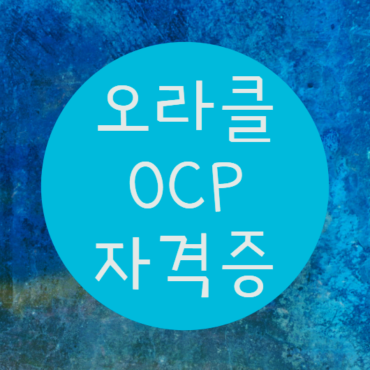  오라클OCP자격증 :: DB엔지니어를 준비하기위한 첫단추
