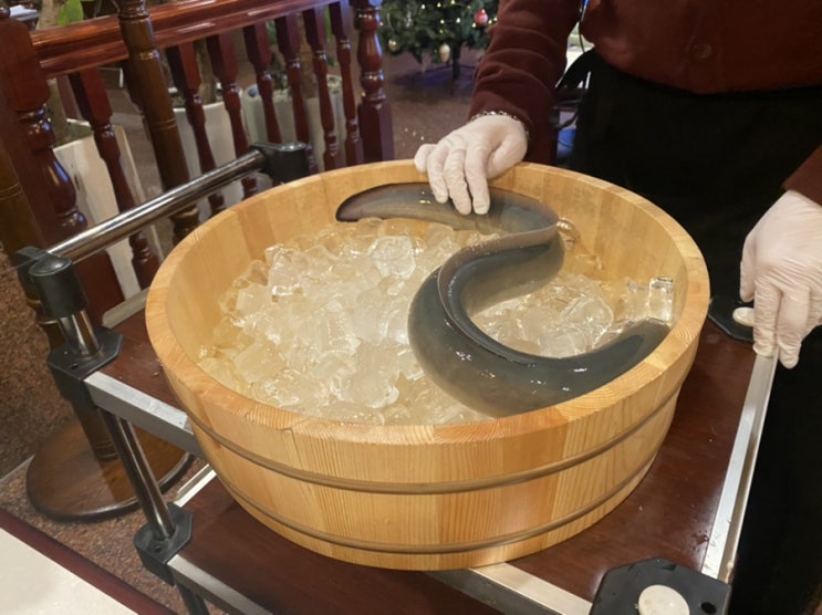  논현동 영동장어 솔직리뷰
