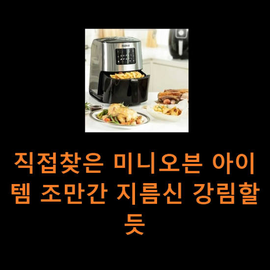 직접찾은 미니오븐 아이템 조만간 지름신 강림할듯