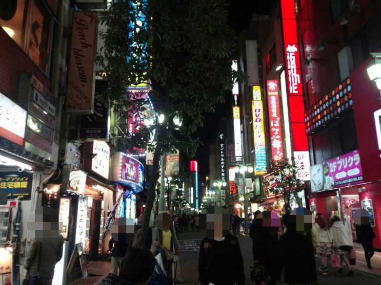  [여행잡썰]일본 AV에 대한 현실 알아보기!궁금했던 모든것!