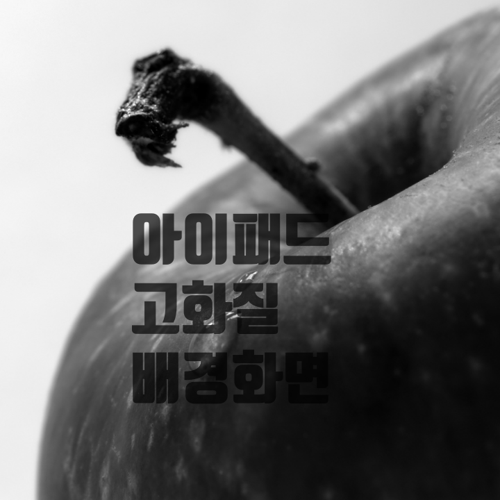  깔끔한 아이패드 고화질 배경화면 공유합니다.