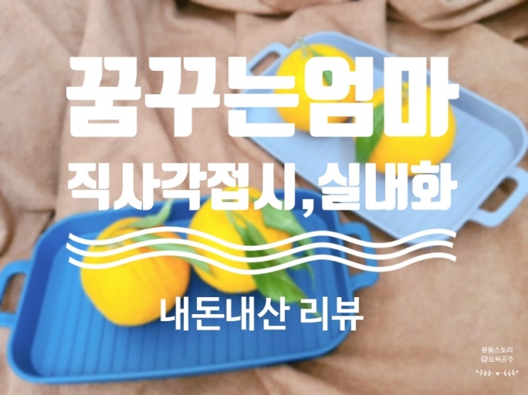  내돈내산 레이스 실내화,홈카페 직사각접시 꿈꾸는엄마