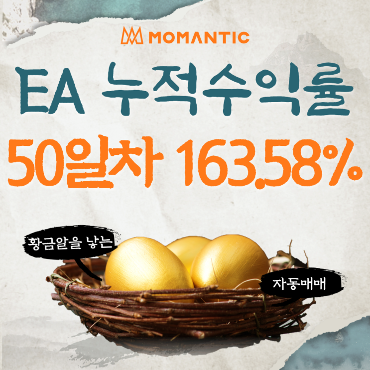 자동매매 50거래일 누적수익률 163.58% FX마진거래 프로그램 매매 자동매매 50거래일 누적수익률 163.58% FX마진거래 프로그램 매매