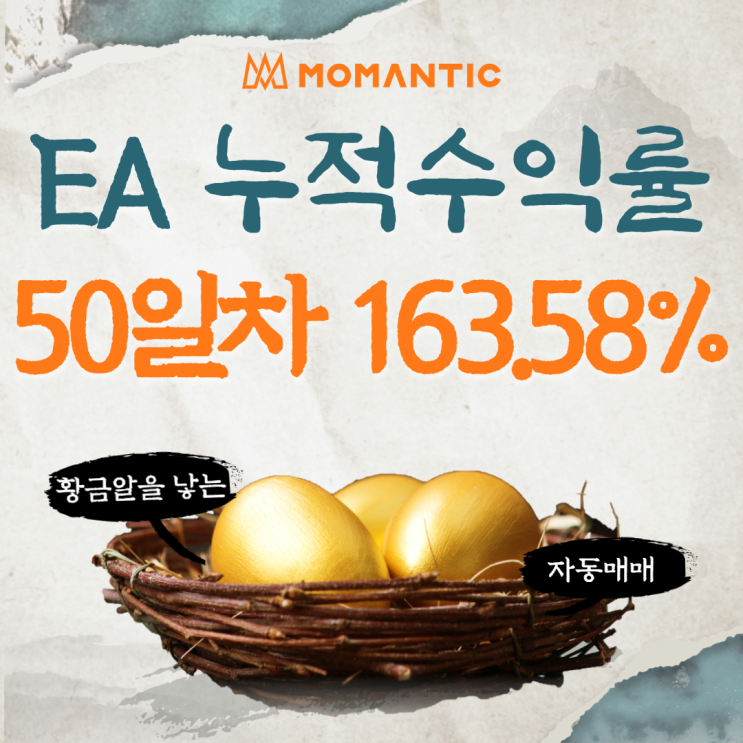 자동매매 50거래일 누적수익률 163.58% FX마진거래 프로그램 매매