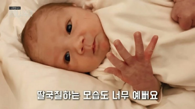 비혼모 사유리, 아기 혼혈 출산 인스타 서양인 정자 기증 나이(+이상민, 집안)