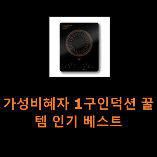 가성비혜자 1구인덕션 꿀템 인기 베스트 가성비혜자 1구인덕션 꿀템 인기 베스트