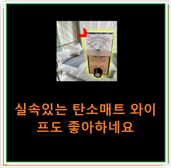 실속있는 탄소매트 와이프도 좋아하네요 실속있는 탄소매트 와이프도 좋아하네요
