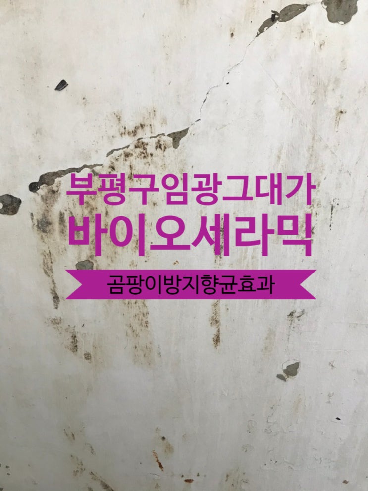  부평구 삼산동 임광그대가 탄성코트 베란다싱크대제거 조습기능 항균효과