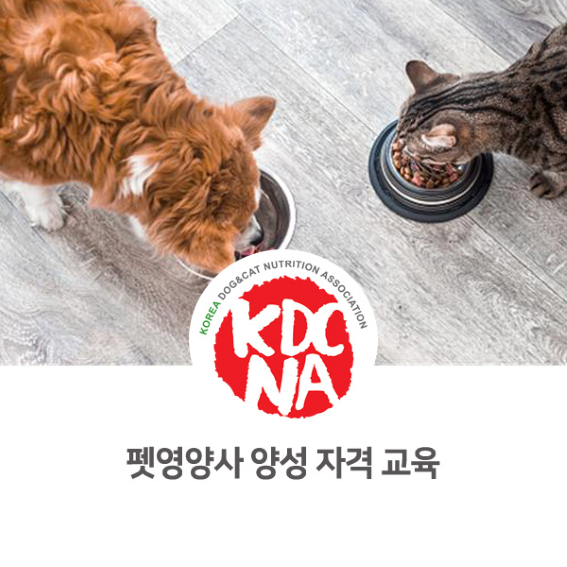 [전주/군산/대전/천안/아산/서산/목포 펫푸드자격증] 한국반려동물영양협회 반려동물영양전문강사 자격증 수업 안내_682