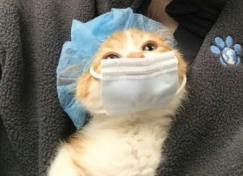  해외선물 실체결대여업체 미니선물업체 차이점 신중히