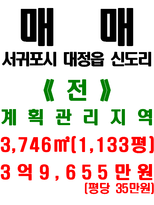  제주 서귀포시 대정읍 신도리 도로 길게 접한 토지 매매(매물번호 519)