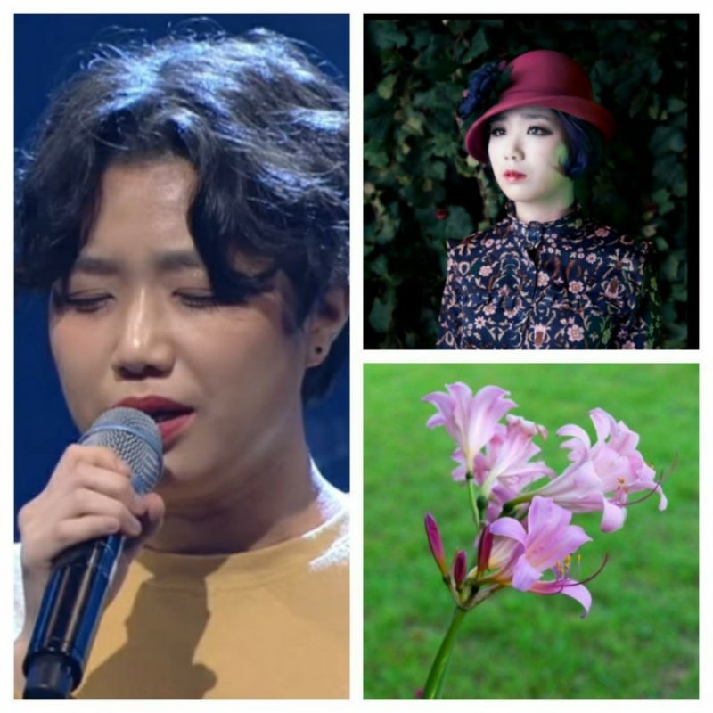 안예은 홍연 상사화 원곡 가사,임영웅 커버 영상