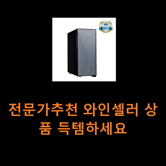 전문가추천 와인셀러 상품 득템하세요 전문가추천 와인셀러 상품 득템하세요