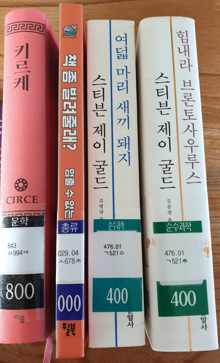  2020년 12월 28일: 오늘은 도서관에서 이 책들을 빌렸네요.