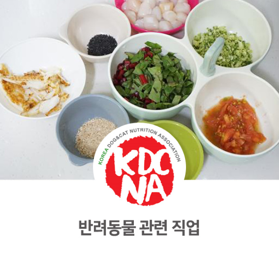  [남양주/수원/안성/일산/인천 펫푸드 자격교육] 펫영양사가 알려주는 강아지 고양이 반려동물 관련 직업_694