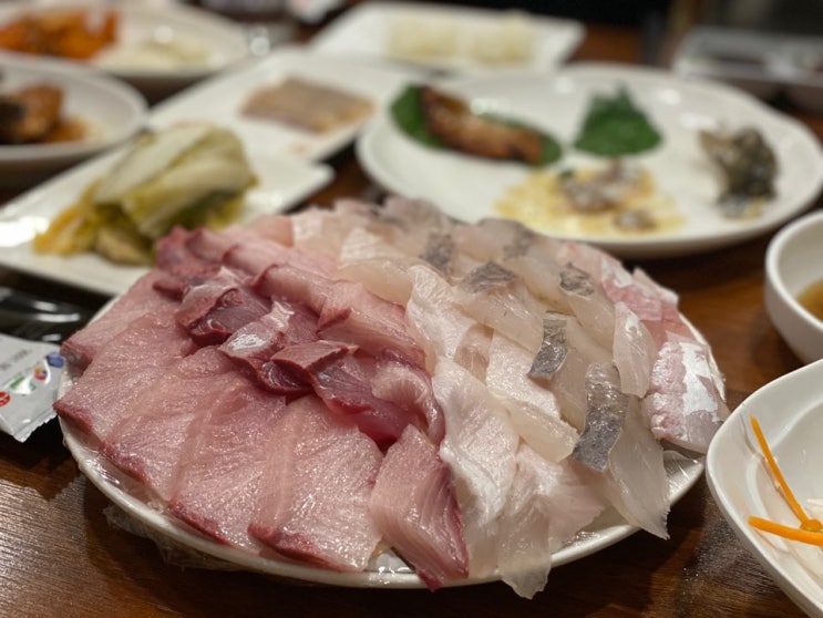  [부산 사직동] 사직동 횟집 추천 삼천포횟집