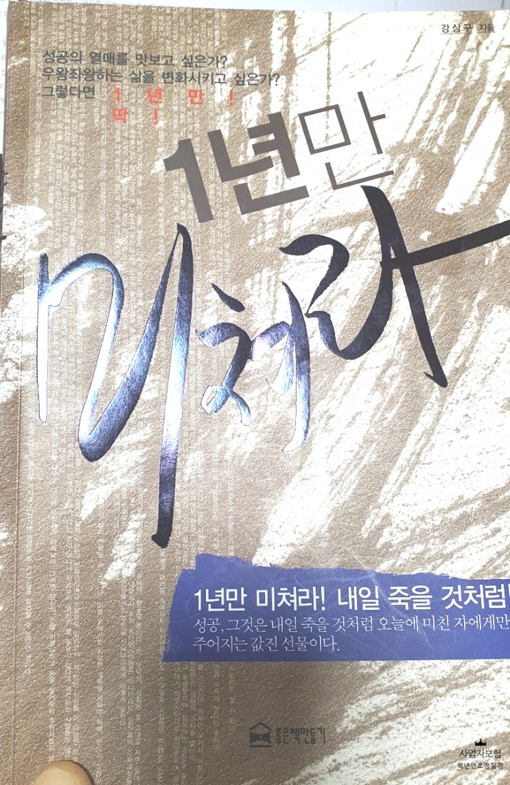  [책 리뷰] 1년만 미쳐라