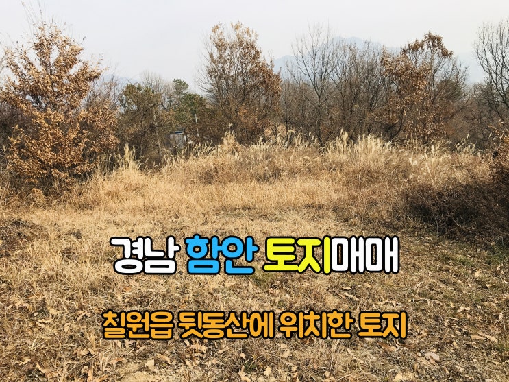  함안부동산(1-710) 급매 칠원읍 뒷동산 위치좋고 조망좋은 경남토지 함안땅 1,095m2매매 입니다