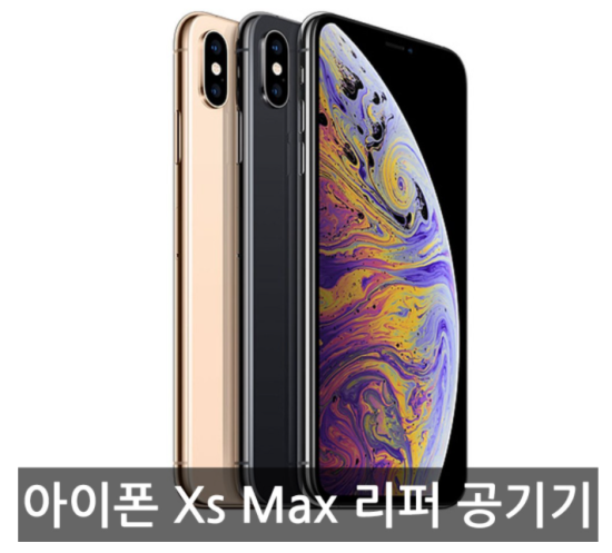 [애플 리퍼] 애플 아이폰 Xs max 공기계 리퍼 자급제, 그레이, 아이폰 Xs Max 256G 