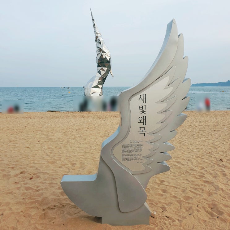당진 왜목마을 해수욕장 일출 일몰 올해는? 당진 왜목마을 해수욕장 일출 일몰 올해는?