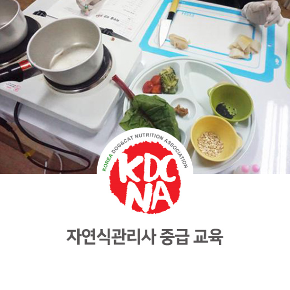  [한국반려동물영양협회 반려동물자연식관리사 자격증 후기] 전주/익산/군산/대전/세종/천안/아산 박은정펫푸드아카데미 창업 교육_701
