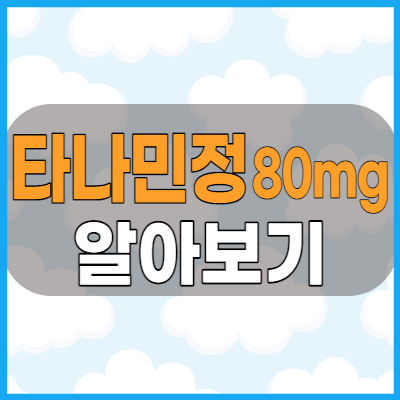  타나민정80mg 이명, 치매등에 좋은 혈액순환제 효능과 주의사항 복용방법 알아봅시다