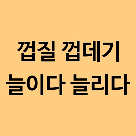  껍질과 껍데기 / 늘이다와 늘리다