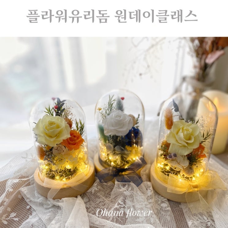 프리저브드플라워 LED 유리돔 원데이클래스 프리저브드플라워 LED 유리돔 원데이클래스