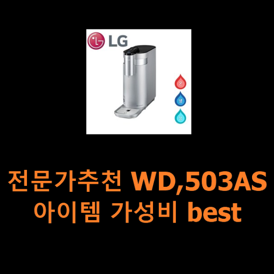 전문가추천 WD,503AS 아이템 가성비 best