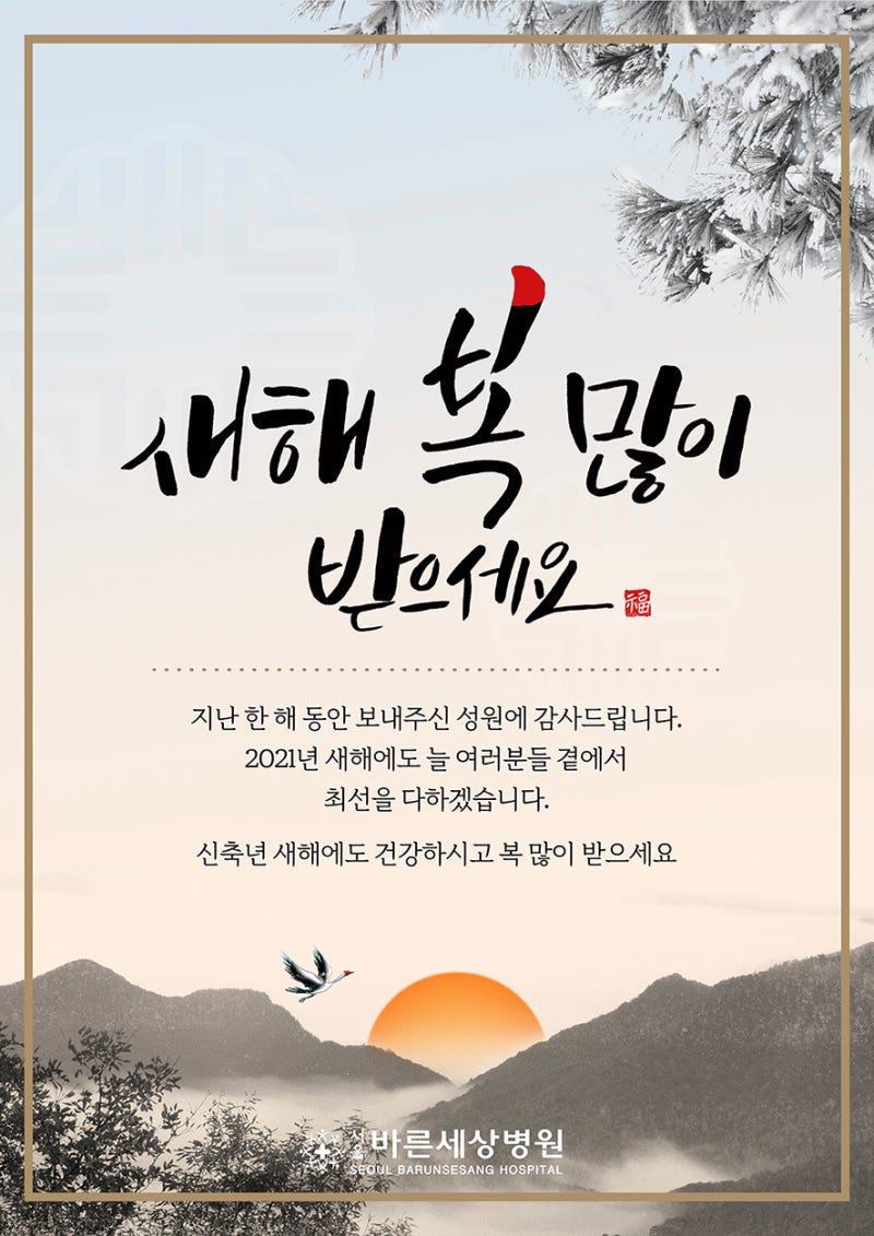 새해 복 많이 받으세요