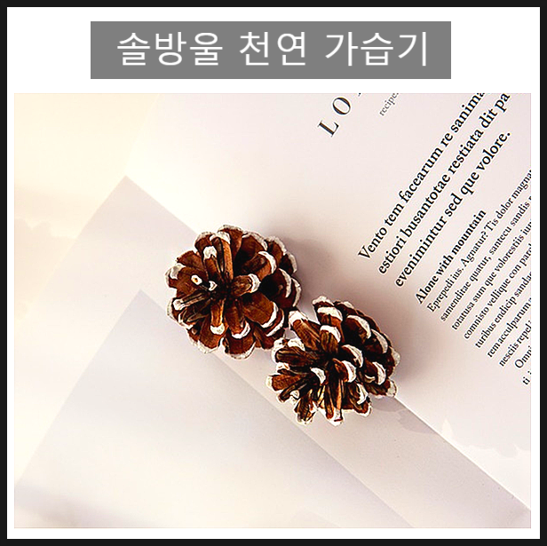  솔방울 가습기 건강한 천연 방식으로 습도 조절하기 좋아요