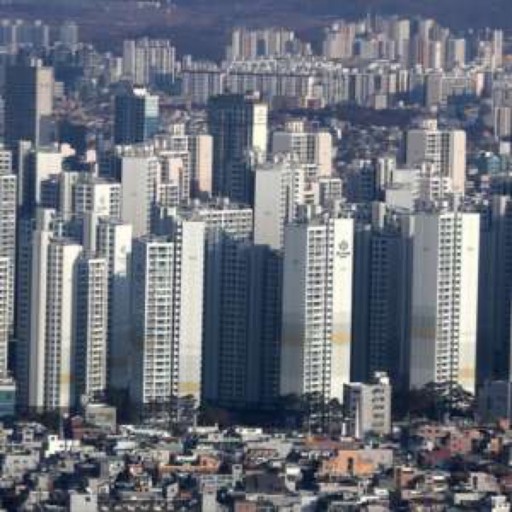  신문스크랩/내년에도 강남불패,,"내집마련한다면 1분기가 적기" 47%