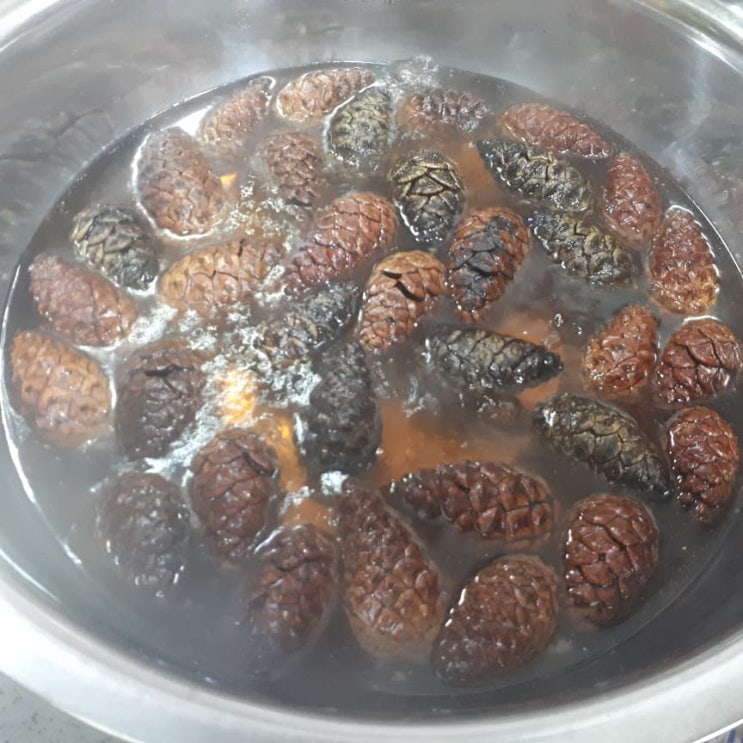  솔방울 천연 가습기 만들기