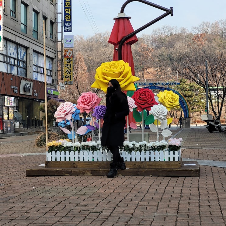  한대앞역상점가  LED플라워포토존과 함께 하는 안산나들이