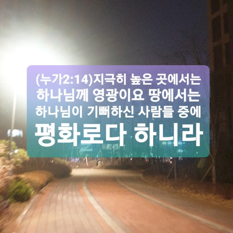 하늘엔 영광,땅엔 평화