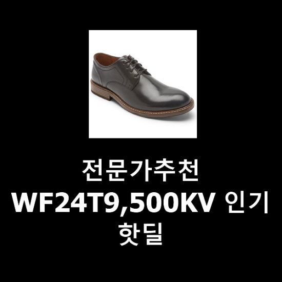 전문가추천 WF24T9,500KV 인기 핫딜 전문가추천 WF24T9,500KV 인기 핫딜