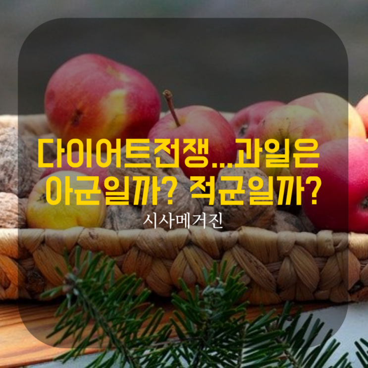  다이어트 전쟁...과일은 적군일까? 아군일까?