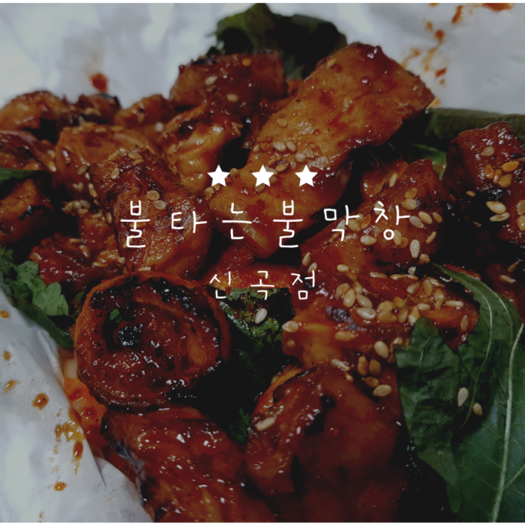  [의정부신곡동맛집] 연말엔 "불타는불막창"과 함께