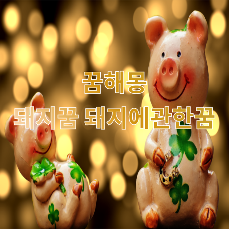  [꿈해몽] 돼지꿈 돼지고기꿈