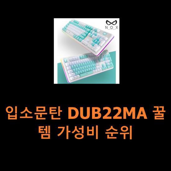 입소문탄 DUB22MA 꿀템 가성비 순위