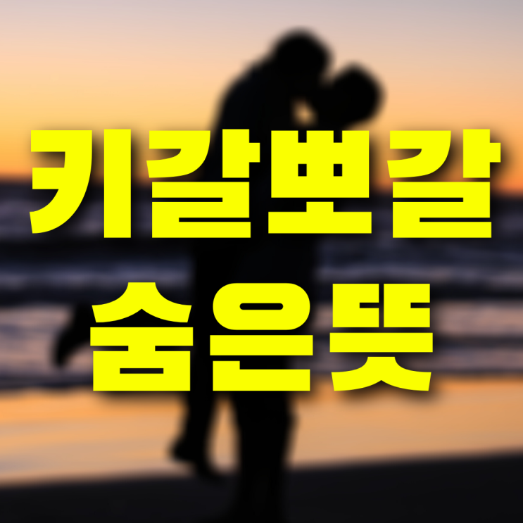  키갈 뜻 그리고 유튜버 BJ 오뀨와의 관계