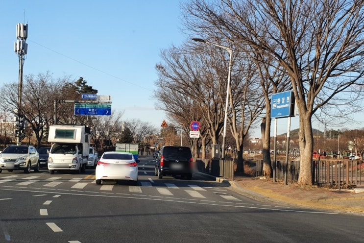 초보운전 편하게 방문운전연수 받고 장롱면허 탈출해요/기본부터 알려드립니다