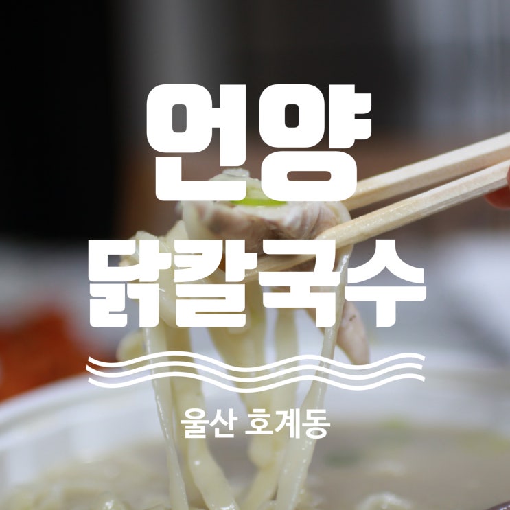  닭칼국수 맛집!! 언양닭칼국수 울산 호계점!!