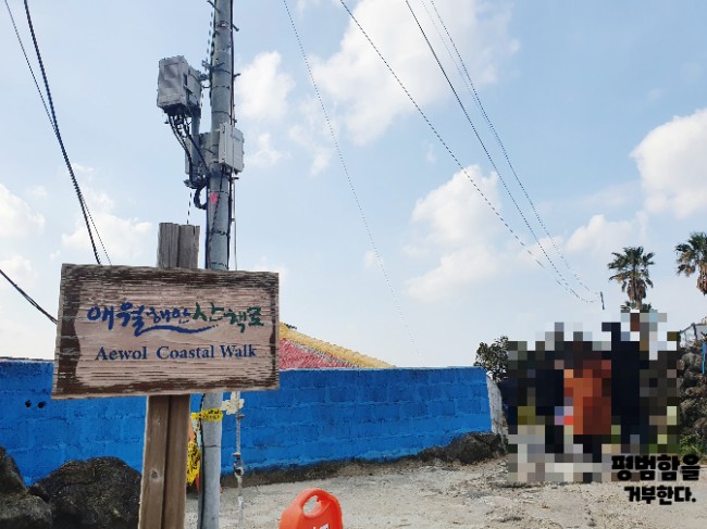  제주도 애월 해안 산책로 따라 바다감상해요.곽지해수욕장푸른바다.바다보며힐링하기.